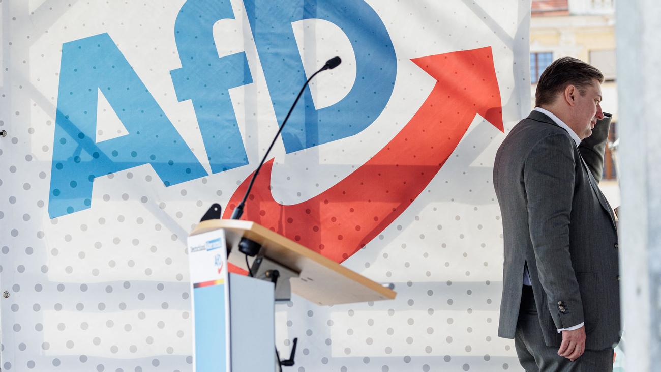 Alternative für Deutschland: Maximilian Krah kandidiert nicht mehr für den AfD-Vorstand