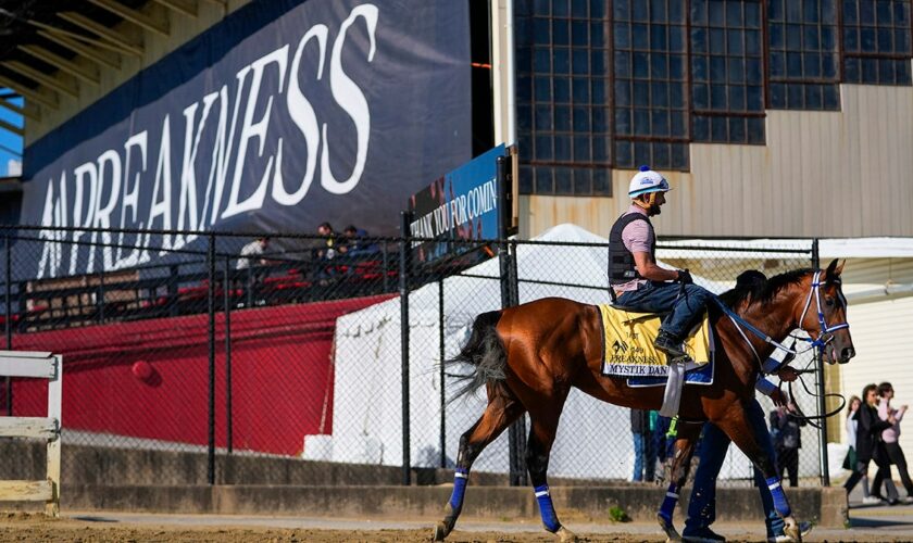 Preakness Stakes 2024: Mystik Dan eyes Triple Crown, Bob Baffert returns seeking record-extending win