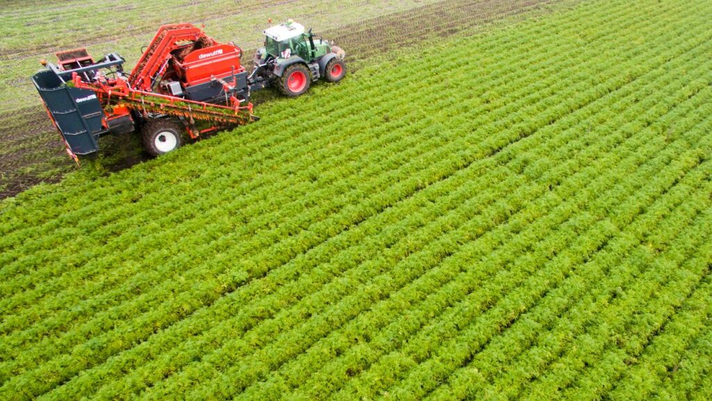 Landwirtschaft: Einkommen und Betriebsgewinne von Landwirten steigen deutlich