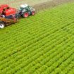 Landwirtschaft: Einkommen und Betriebsgewinne von Landwirten steigen deutlich