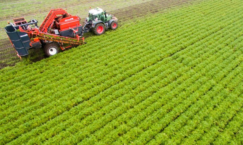 Landwirtschaft: Einkommen und Betriebsgewinne von Landwirten steigen deutlich