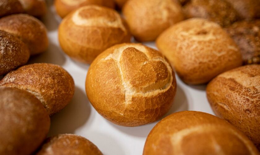 Bei Netto und Edeka verkauft – Bäckerei ruft bundesweit Aufbackbrötchen zurück