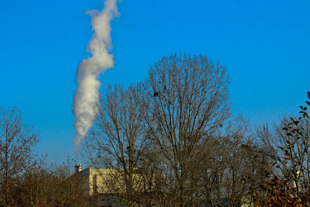 La France rate de peu son objectif climatique faute d’absorption suffisante des forêts et des sols