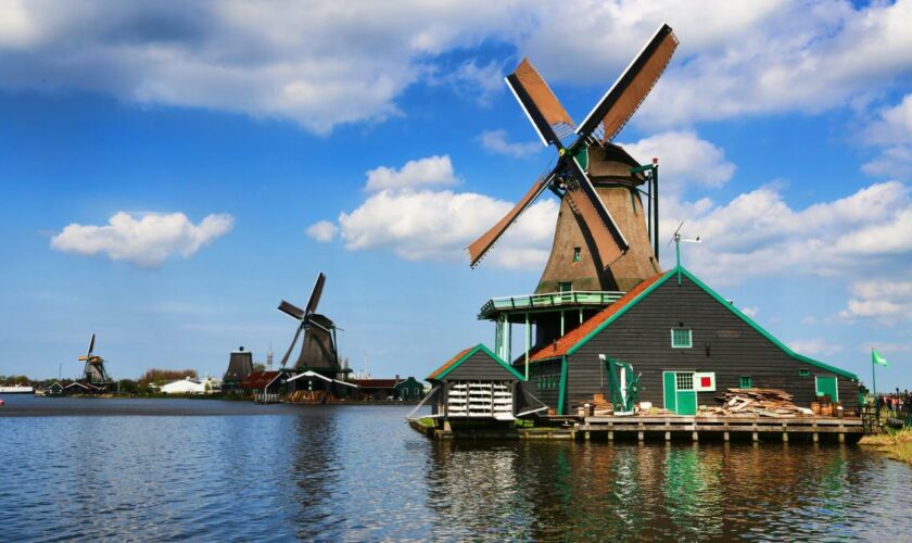 In Zaandam sind Windmühlen mehr als nur Folklore