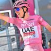 Triumph beim Giro:  „Pogacar ist wie Eddy Merckx und ich“