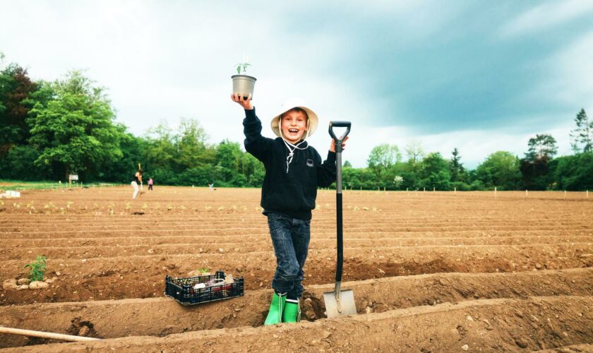 Gartenarbeit: Jetzt wird geackert