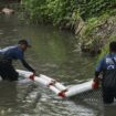 A Bali, le combat sans fin des « guerriers des rivières » contre la pollution plastique