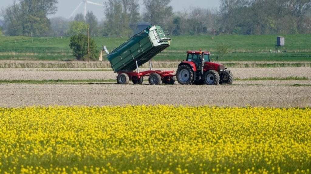 Die Umweltauflagen für Landwirte sollen auf EU-Ebene gelockert werden - das ist nicht unumstritten. Foto: Marcus Brandt/dpa