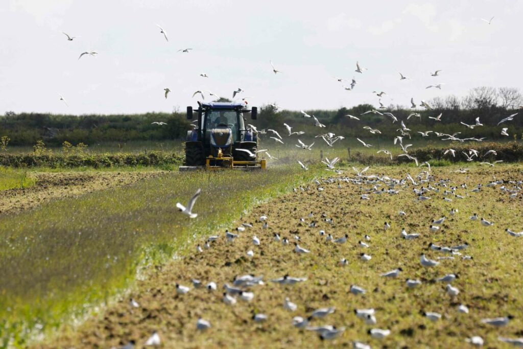 Agriculture : les députés retoquent en commission la création de « groupements fonciers agricoles d’investissement »