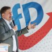 Allemagne: L'AfD sanctionne sa tête de liste aux Européennes