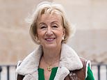 Andrea Leadsom is latest to join Tory exodus: Former leadership contender to stand down at the general election as Michael Gove also announces he will quit amid growing pressure on Rishi Sunak