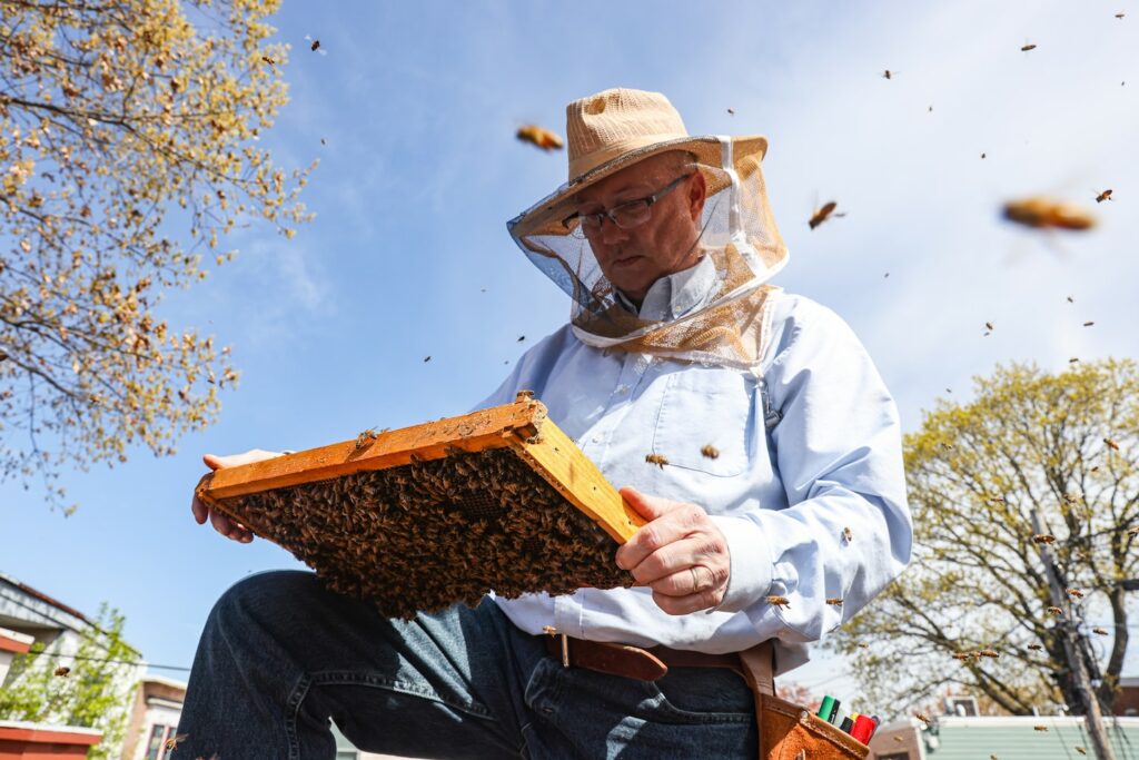 As the bees swarm in D.C., he answers the call