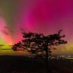 Auroras make surprise pre-dawn display in D.C. area after lighting up mountains