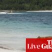 Australia news live: Queensland poised to limit K’gari visits amid wave of dingo attacks; Electric Fields crash out of Eurovision semi