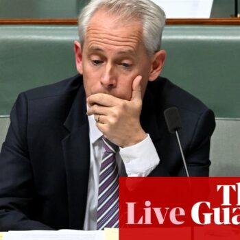 Australia politics live: Giles vows to ‘get to the bottom’ of visa reinstatements; half of gas exports ‘royalty-free’
