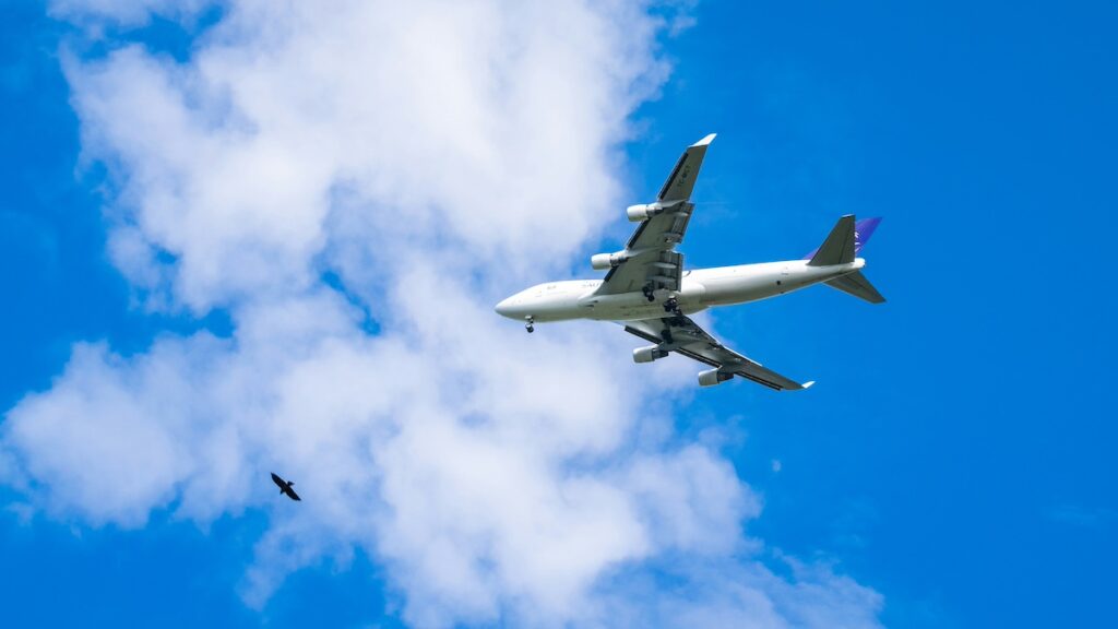 Ce que les oiseaux ont à nous apprendre des turbulences en plein vol