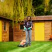 Common garden mistakes that could be 'recipe for disaster' for lawn