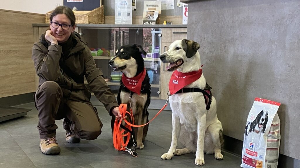 Des réserves pour les animaux: Collecte de sang à la clinique vétérinaire de Bettembourg