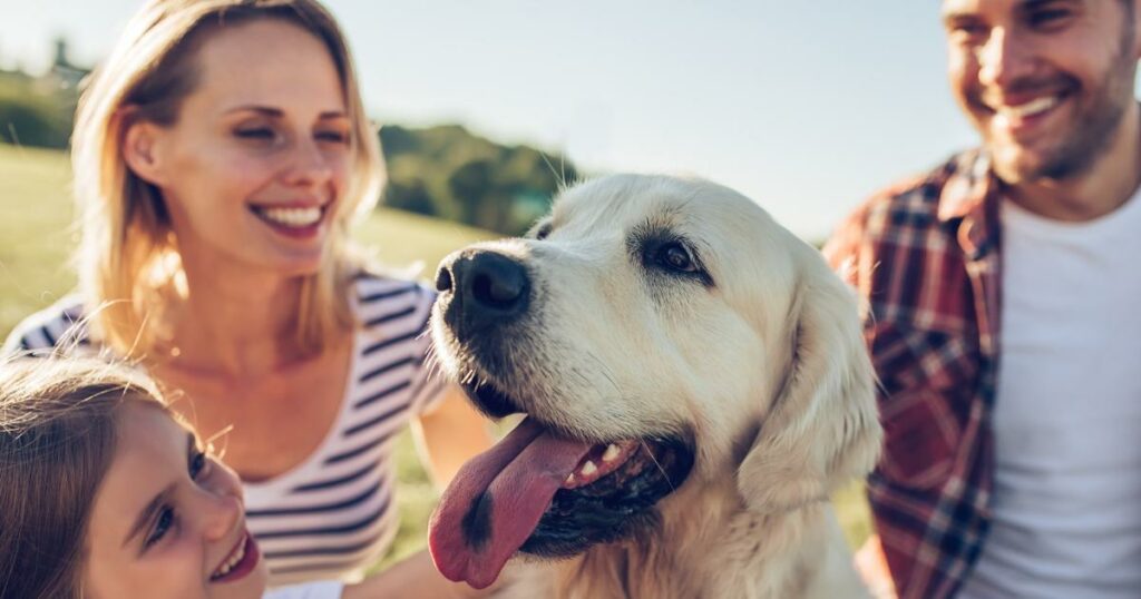 En 2024, les Français sont toujours autant fans du chien