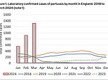 Five newborn babies die in spiralling whooping cough outbreak: Cases of '100 day cough' in 2024 are already three times higher than whole of last year, as post-Covid vaccine scepticism is blamed