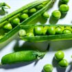 Fresh pea recipes to highlight the small but mighty spring vegetable