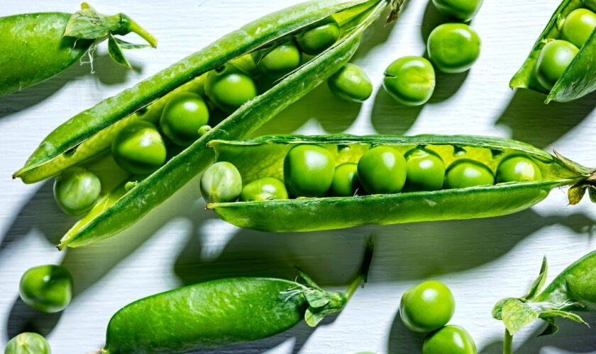 Fresh pea recipes to highlight the small but mighty spring vegetable