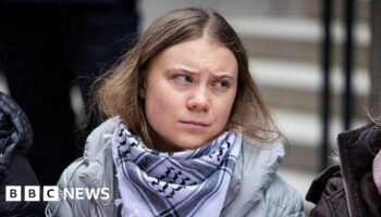 Greta Thunberg fined for disobeying police at Swedish climate protest