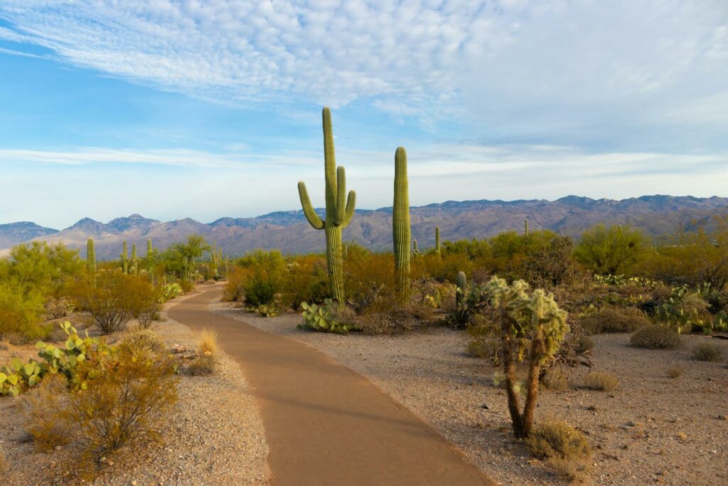 “Journal d’Arizona et du Mexique”, Chantal Thomas fouille dans ses souvenirs américains