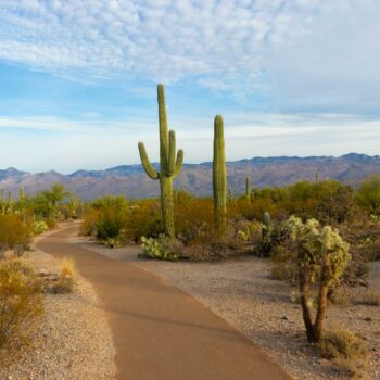 “Journal d’Arizona et du Mexique”, Chantal Thomas fouille dans ses souvenirs américains