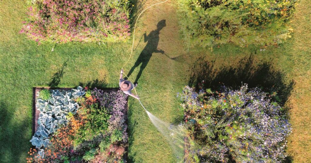 Les étonnants bienfaits du jardinage pour le corps et l’esprit