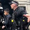 Moment armed police arrest TikToker poking his microphone under nose of King's Guard horse and its rider - and he'd previously been held outside Downing Street too