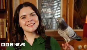 Hannah Hall with a pigeon