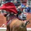 Pocas bromas con la mansa y gigantesca corrida del Montecillo