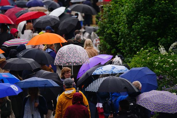 UK weather: Bad news for Brits as bookies slash the odds on 'wettest summer ever' this year