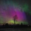 US enjoys dazzling Northern Lights show stretching from Maine to Alabama after 'extreme' solar storm that could knock out power lines and communications