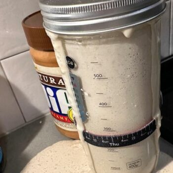 Woman panics as her sourdough starter goes wrong and 'takes over her home'