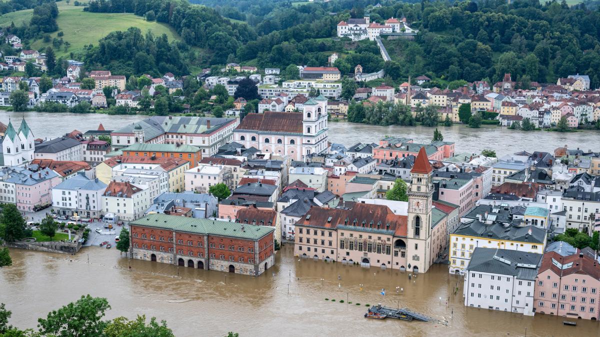 Frau nach 52 Stunden aus Baum gerettet