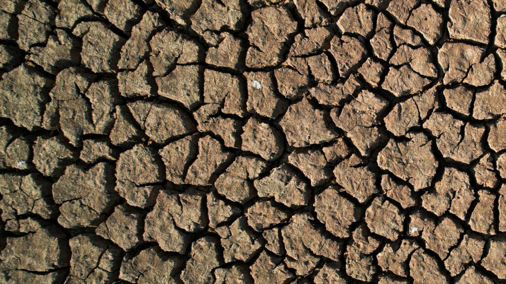 Climat : le réchauffement causé par l'homme atteint un "rythme sans précédent"