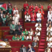 Drapeau palestinien à l'Assemblée : LFI remet ça, les costumes en plus