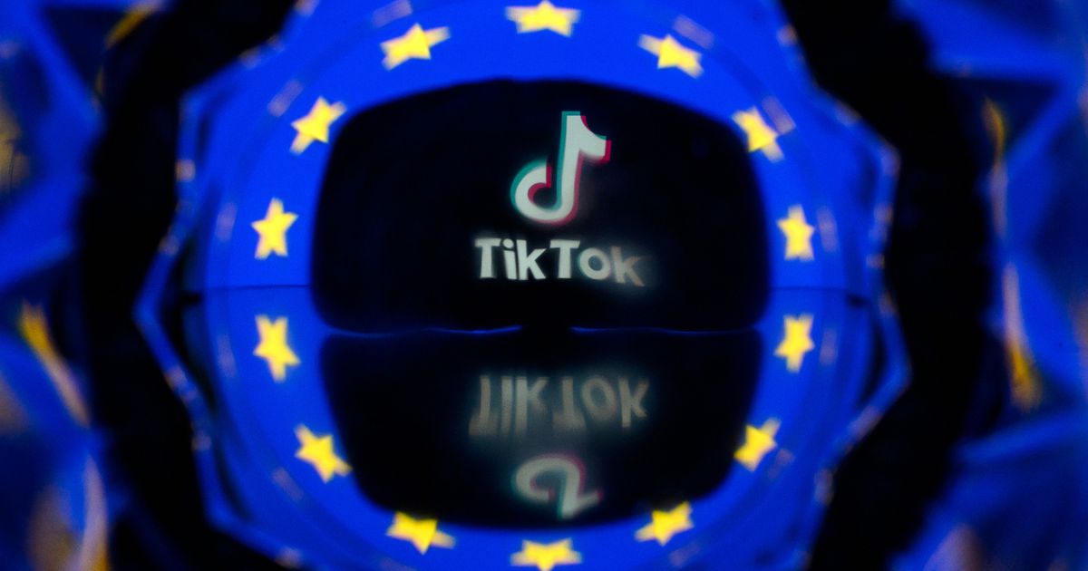 Meta et TikTok ont déclaré l'an dernier employer chacun plus de 1.000 person