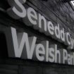 Welsh Senedd