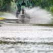 Bis zur Existenzgefährdung: Hochwasser vernichtet die Ernte vieler Höfe