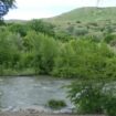 Boy, 12, dies after falling into swift-moving Utah river while vacationing with family