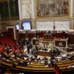 Européennes 2024 : voici les dates des législatives anticipées après la dissolution de l’Assemblée nationale