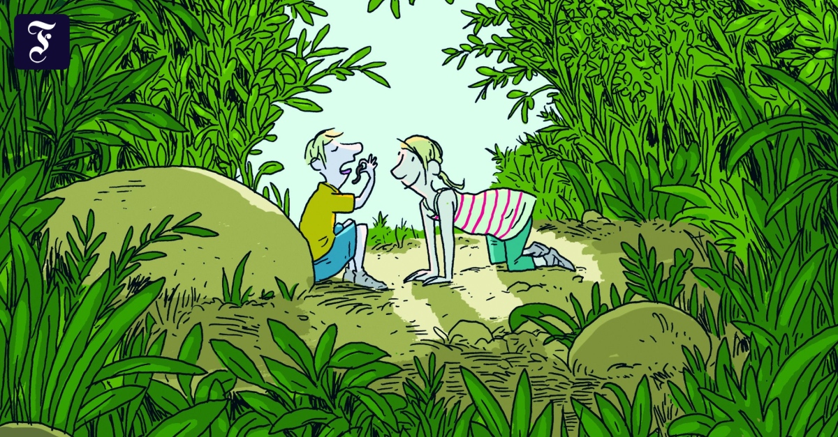 Das Kinderbuch „Ameisen in Adas Bauch“ von Stefanie Höfler und Philip Waechter