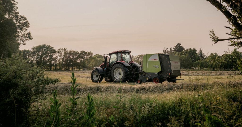 Les ruralités retrouvent des couleurs à l’heure des transitions