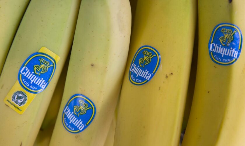 US-Bananenkonzern: Chiquita wegen Unterstützung von Paramilitärs verurteilt