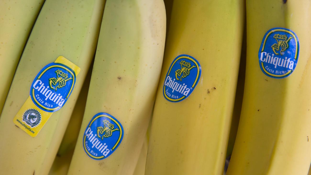 US-Bananenkonzern: Chiquita wegen Unterstützung von Paramilitärs verurteilt