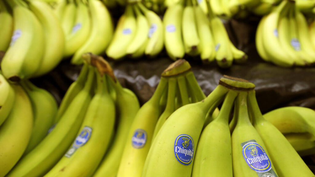 La multinationale Chiquita jugée responsable du financement de paramilitaires colombiens