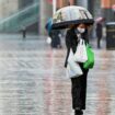 A shopper walks through the rain with an umbrella